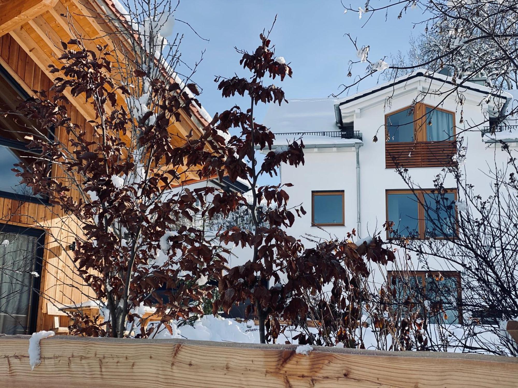 Schlossquelle Koenigsdorf Konigsdorf Екстер'єр фото